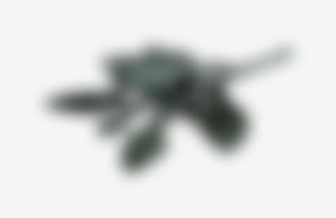 CRAPAUD SUR FEUILLE (preview)