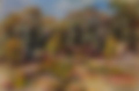 PAYSAGE DU MIDI (preview)