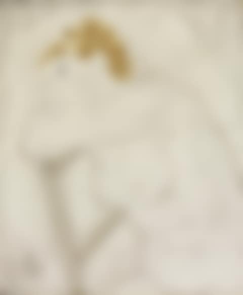 NU À LA CHAISE (preview)