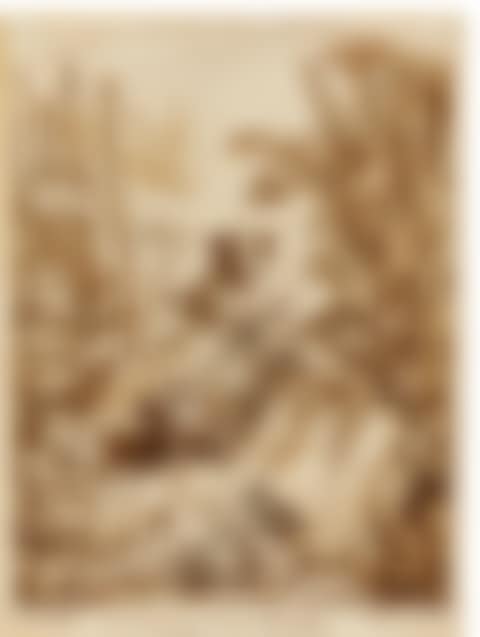WILD BOARS (preview)