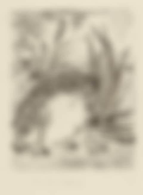 LA CRAPAUD (B. 356; BA. 603) (preview)