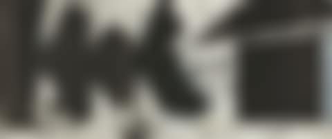EL NEGRO (W.A.C. 308.1-.21) (preview)