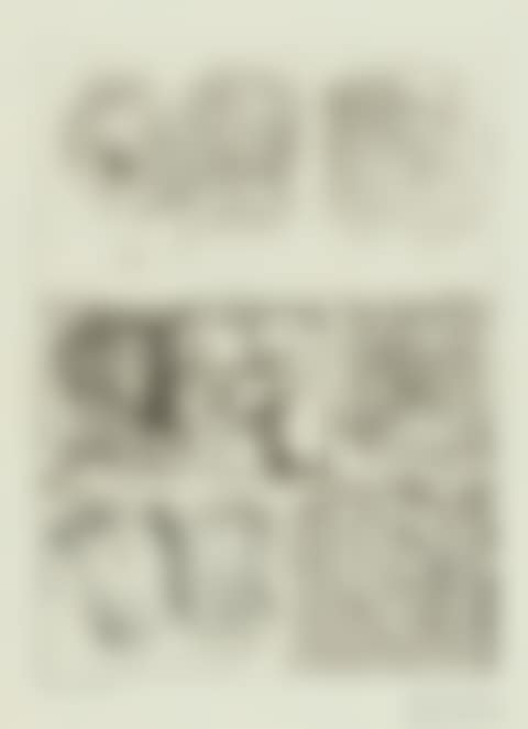 FEUILLE D'ÉTUDES TECHNIQUES. NEUF TÊTES (B. 285; BA. 438) (preview)