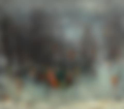 THE SKATERS (preview)
