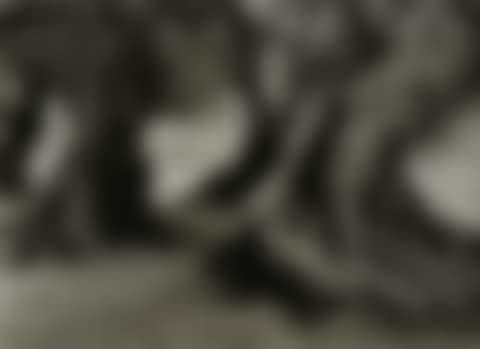 APULIA (preview)