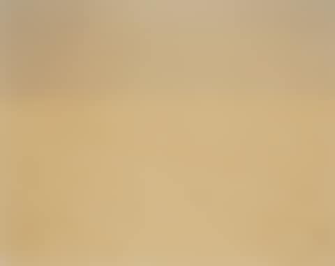 DESERT CROQUET #2 (BEER CAN), 1987 (preview)