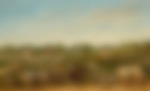 THE COTTON PLANTATION (preview)