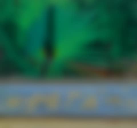 GREEN PALMS (preview)