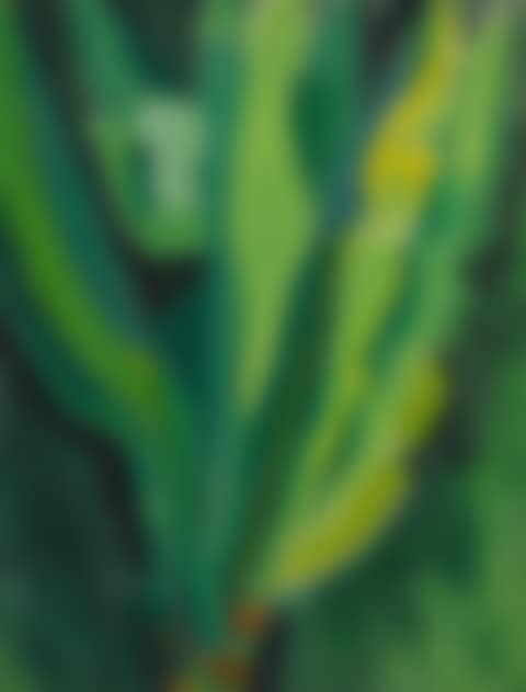 BANANA PLANT (preview)
