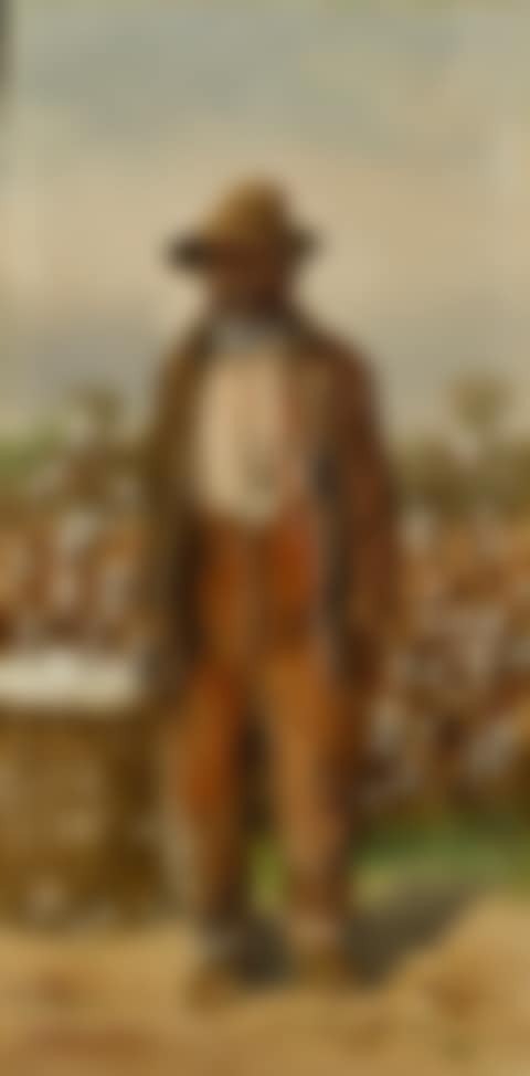 COTTON PICKER WITH BASKET (preview)