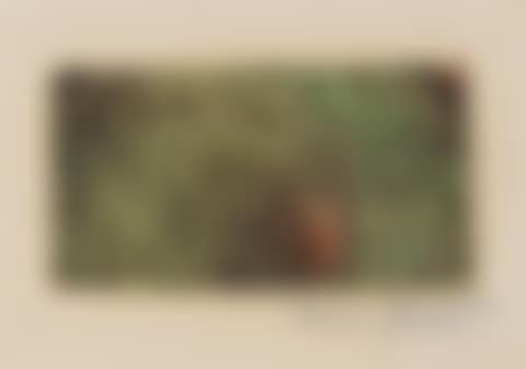 PAYSAGE IMMACULÉ (preview)