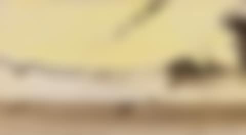 PAYSAGE (preview)