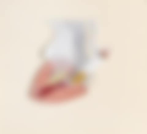SMOKER (preview)