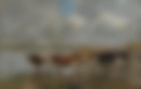 PAYSAGE AU BORD DE LA TOUQUES (preview)