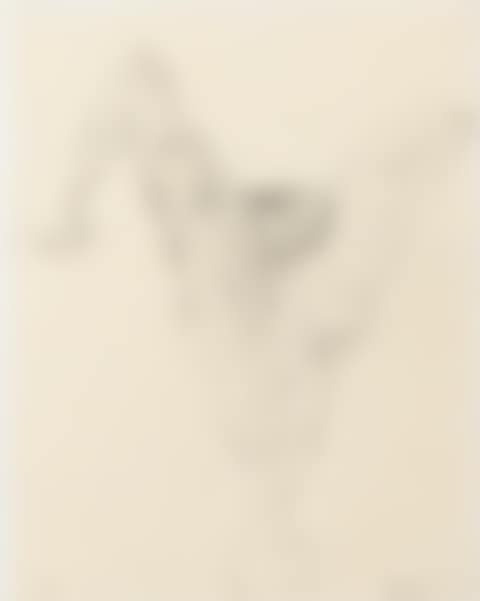 COMPOSITION (preview)