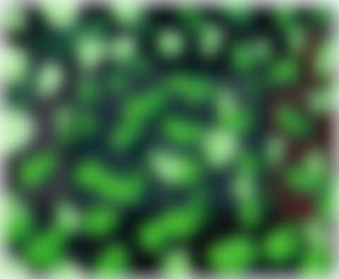MULTIPLICATION (preview)