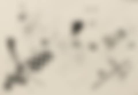 UNTITLED (preview)
