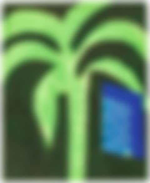 PALM AND WINDOW  (preview)
