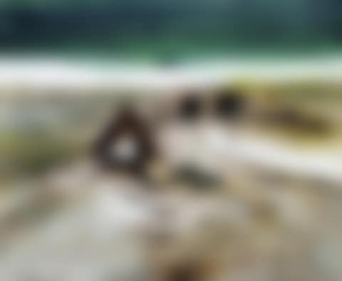 Gallipoli Soldiers (preview)
