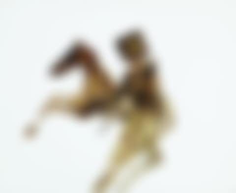 Kelly and Rearing Horse (preview)