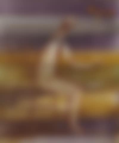 Seated Figure and Bird (preview)