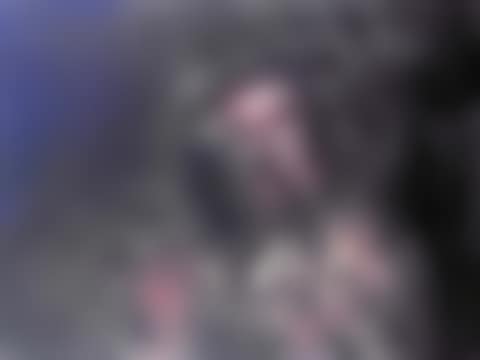 Figure (preview)