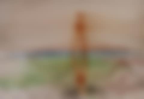 Figures by Water (preview)