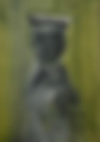 Midshipman (preview)