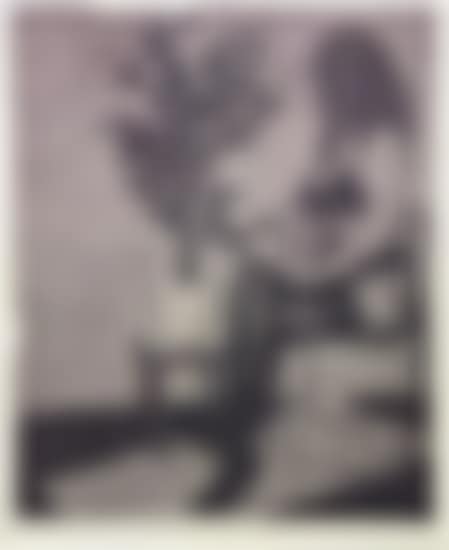 Ohne Titel (preview)