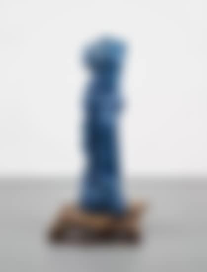 The Zebra (The Blue Version) (preview)