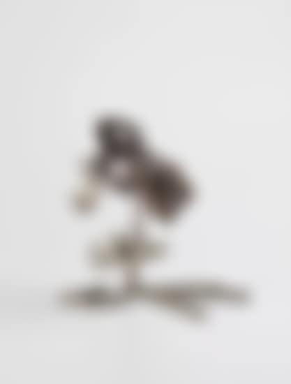 Christreed (preview)
