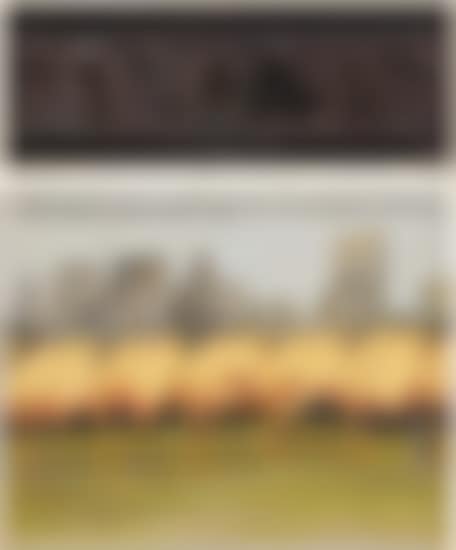The Gates (Project for Central Park, New York City) (preview)