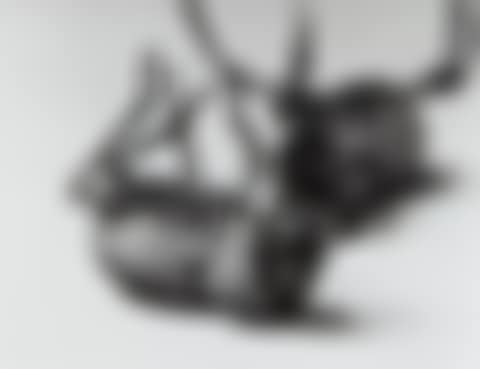 Tenebrionidae Asbolus verrucosus Death Feigning Beetle Silverlake, California October 1, 1996 (preview)