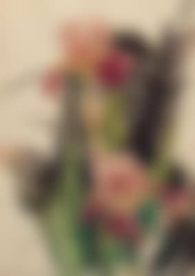 Flowers: Irises (preview)