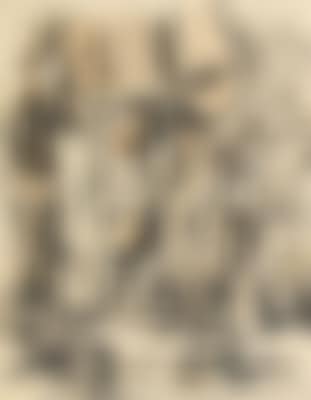 Negerskulpturen (preview)