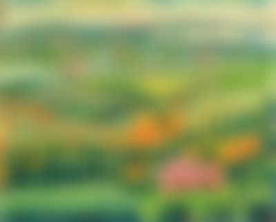 Landscape (preview)