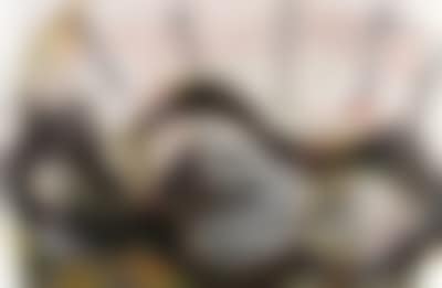 Schlangengrube (snake pit) (preview)