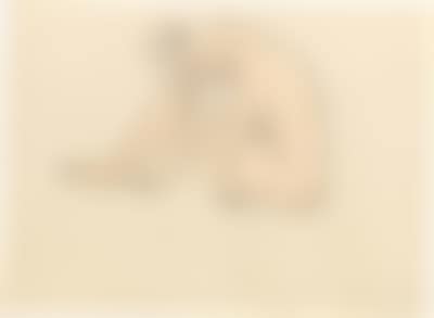 Kauernder weiblicher Akt (Crouching female nude) (preview)