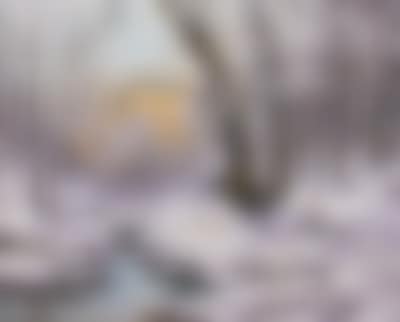 Winter forest with setting sun (preview)