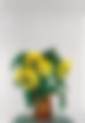 Girasoli (preview)