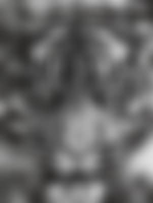 Tiger (small) (preview)