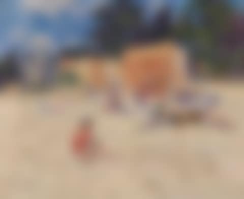 At the beach (preview)