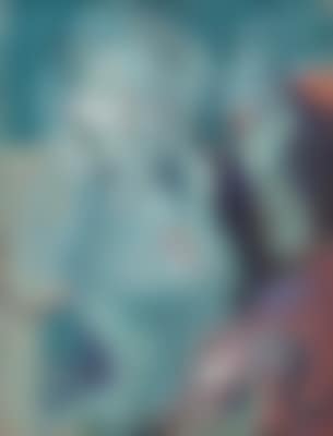La toilette (preview)