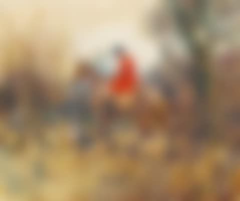 Huntsman in Cover (preview)