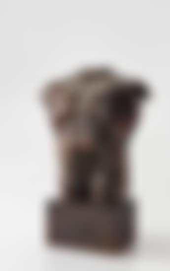 Male Torso with Leaf (preview)