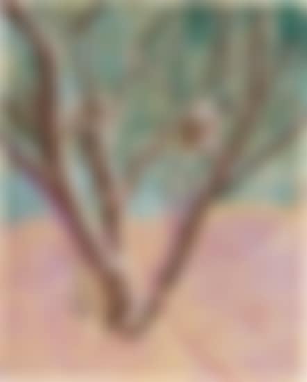 Birdhouse (preview)