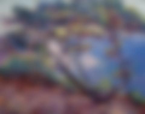 LE BRUSC, PAYSAGE DU MIDI (preview)