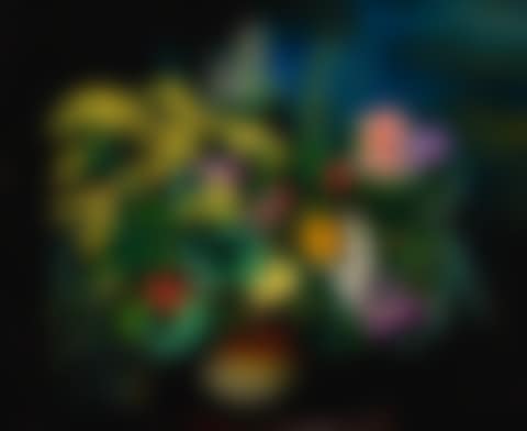 FLEURS (preview)