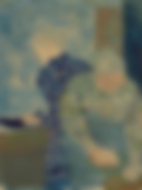 DEUX FEMMES DANS LA CUISINE (MADAME VUILLARD ET UNE OUVRIÈRE) (preview)