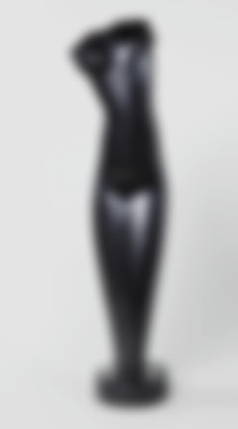 TORSO (preview)
